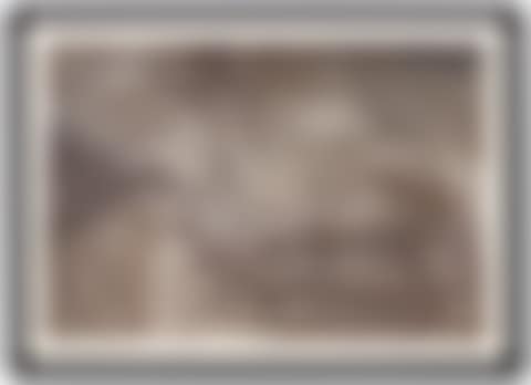 Untitled (20402#FC) (preview)