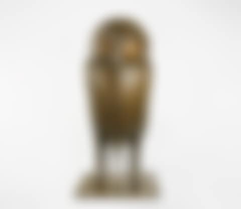 Chouette de Tourtour (preview)