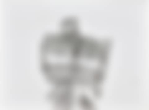 Zou - Form (preview)