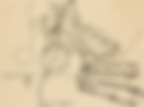 22 February (preview)