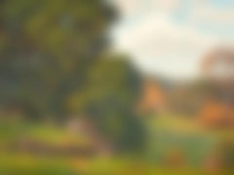 Along the River Bed (preview)