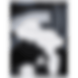 "avec" (preview)