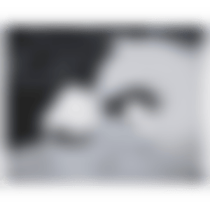 "VISITOR" (preview)
