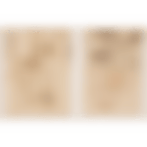 Works (preview)