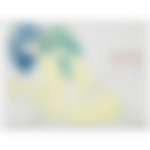 Shop curtain (preview)