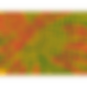 Walking through a Flower Garden (Kusama 364) (preview)