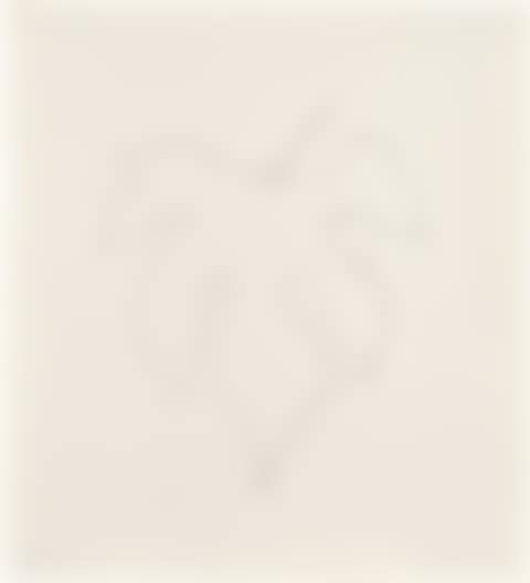 Wild Grape Leaf (T.G. 332, A. 191) (preview)
