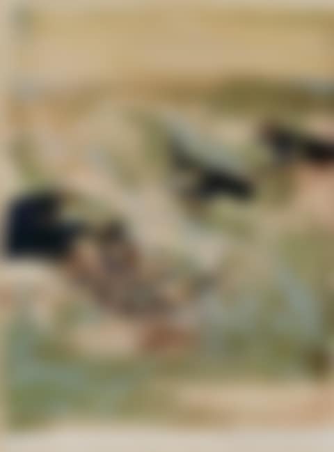 Untitled (preview)