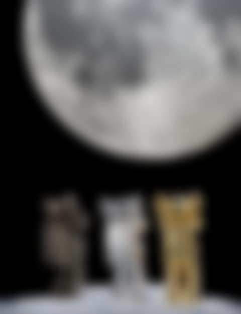KAWS: Holiday Space (A complete set of three) (preview)