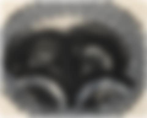 Black Palm (Heenk 76) (preview)
