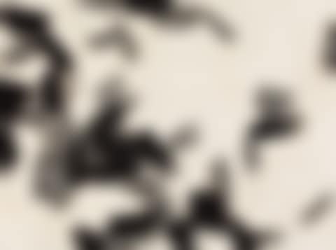 From Island 6 (preview)