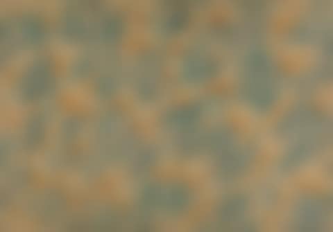Recurrence (preview)