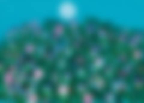 Moon and Morning Glory (preview)