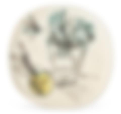 Bouquet à la pomme (A.R. 307) (preview)