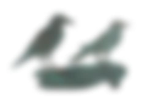 Dreaming with Birds (preview)