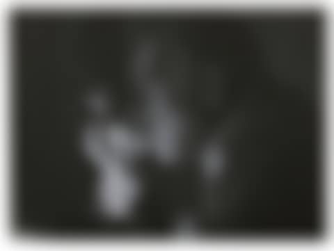 Untitled (Bolego)  (preview)