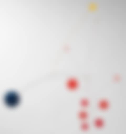 The Red Flower  (preview)