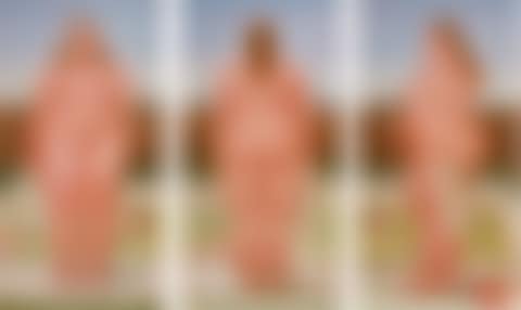 The Bather (preview)