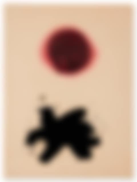 Black Splash (preview)