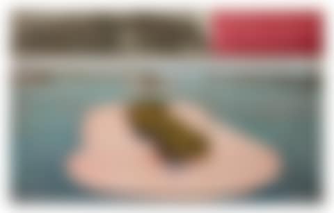 Surrounded Islands (Project for Biscayne Bay, Greater Miami, Florida) (preview)