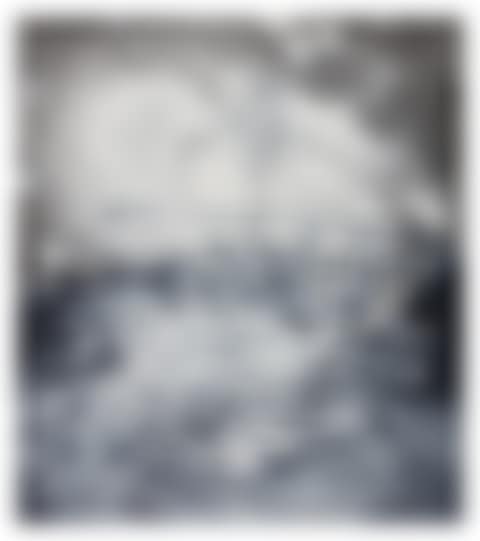 The Bird of Paradise Approaches the Hot Water Planet (Grisaille)  (preview)
