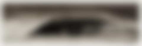 Study for Black Swan (preview)