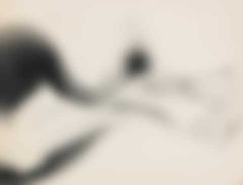 Untitled (preview)