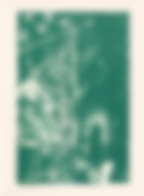 The Seasons (preview)