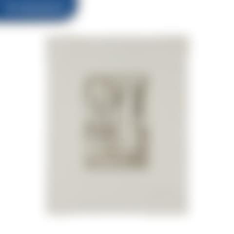 Figure 4 (ULAE 37) (preview)