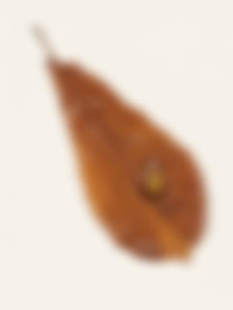 Water Drop (preview)