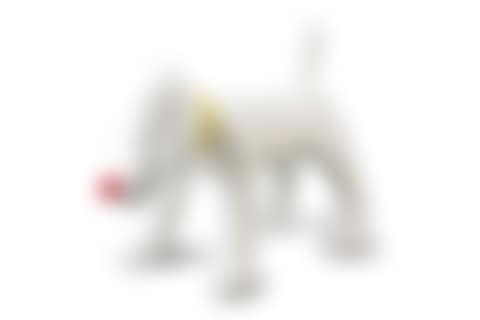 Doggy Radio (preview)