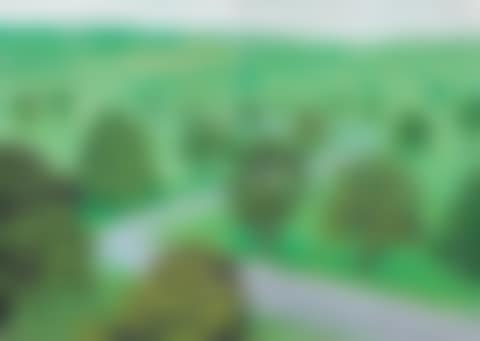 A Bigger Green Valley (preview)