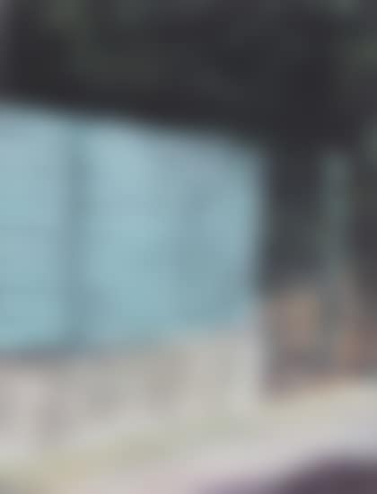 Zaun (Fence) (P13) (preview)