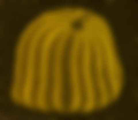 Yellow Colored Pumpkin (preview)