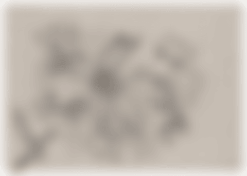 Flower (A. B) (Kusama 194) (preview)
