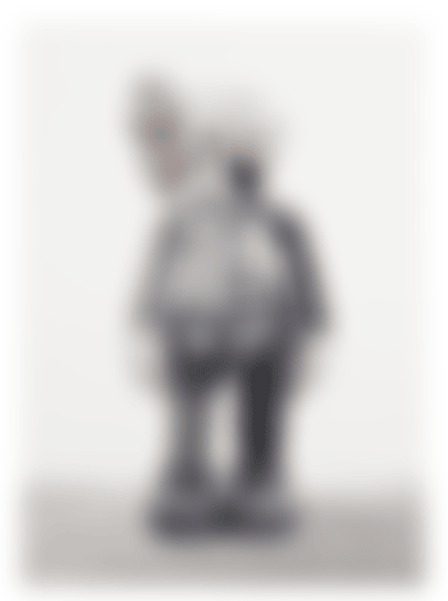 COMPANION (grey dissected） (preview)