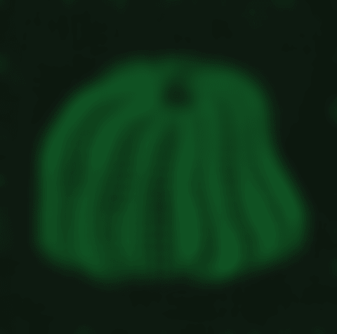 Pumpkin (GSQ) (Kusama 243) (preview)