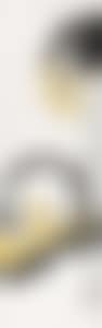 Loquat (preview)