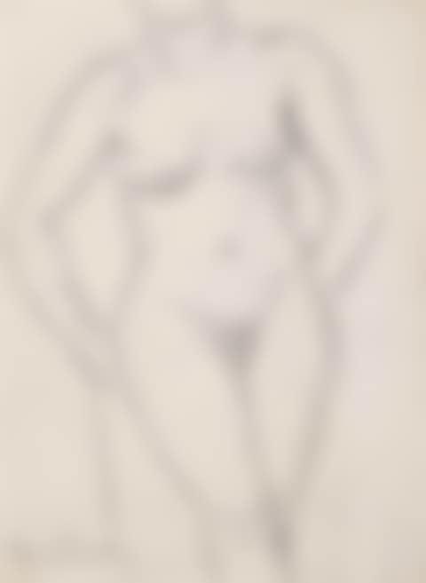 Study of a nude (preview)