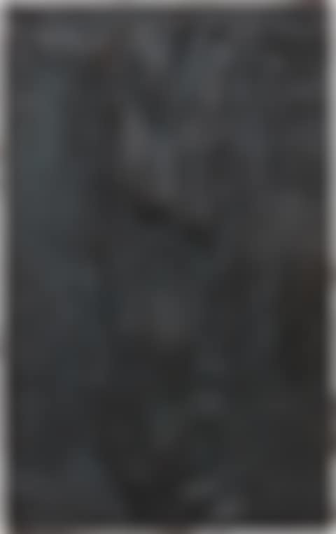 Bronze Relief 11/88 (preview)
