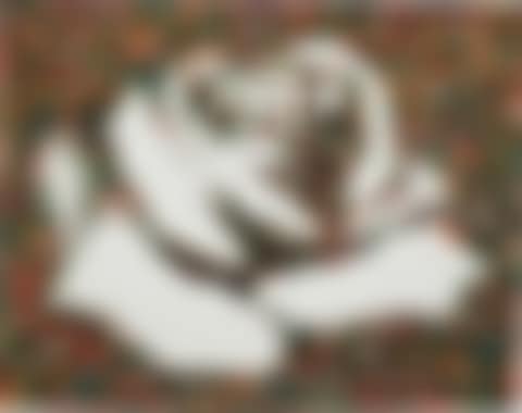 The White Rose (from the Monad Series) (preview)