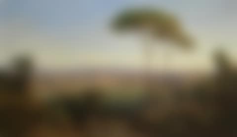 A view of Rome (preview)