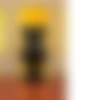 Companion (Original Fake) (preview)
