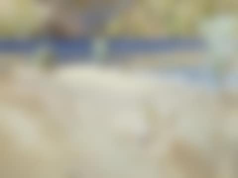 Ultramarine and gold (preview)
