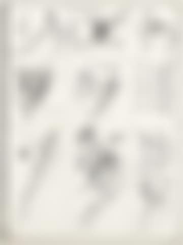 Ohne Titel (preview)
