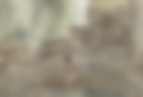 Orta (preview)