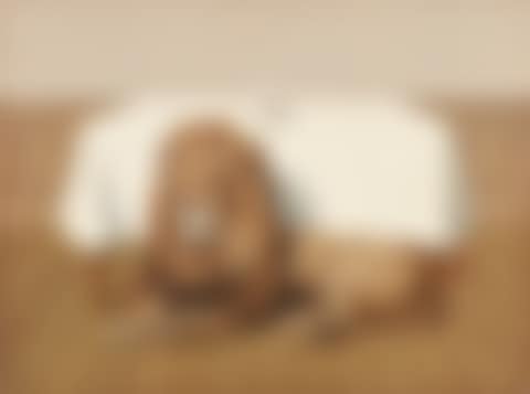 LE REPAS DE NOCES (preview)