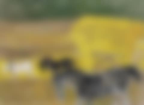 Les moissons (preview)