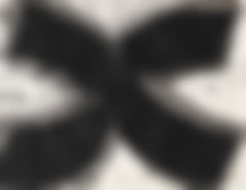 C.C. XI (preview)