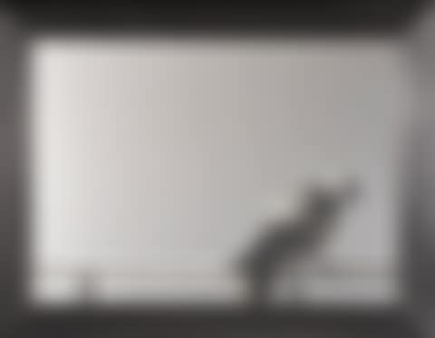 COLUMBA, FROM HOMMAGE À PICASSO (preview)